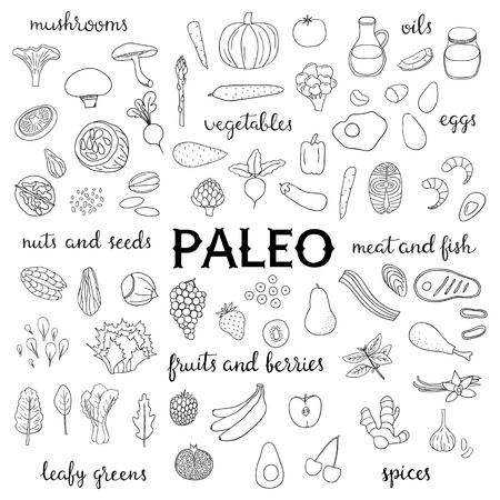 Paleo Food Diet